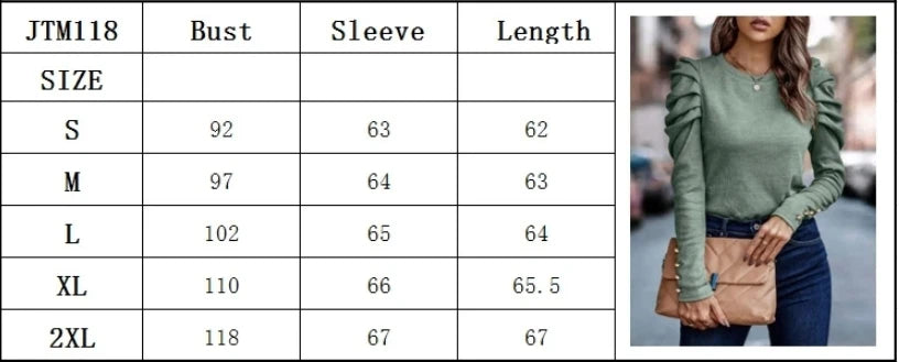 Women's  Round Neck Long Sleeved Pleated Elegant T-shirt Daily Parties Fashionable Commuting Style Autumn Top