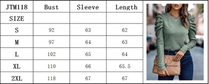 Women's  Round Neck Long Sleeved Pleated Elegant T-shirt Daily Parties Fashionable Commuting Style Autumn Top