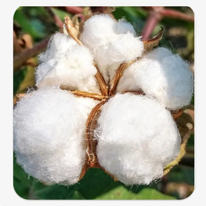 Baby Boy Girl Clothes Newborn Infant Baby Romper 100% Cotton Long-Sleeve Style Toddler Kids Jumpsuit Children's Pajamas