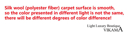VIKAMA Long Pile Soft Carpet Living Room Bedroom Bedside Non Slip Skin Friendly Carpet Ins Nordic Style Home Decor Carpet
