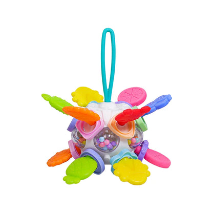 Montessori Baby Teething Toys Sensory Chew Teething Ball Rattle Grasping Activities Babies Toys for 0-18 Months Girls Boys Gifts